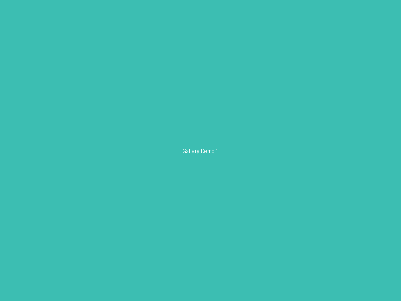 Demo gallery image 1