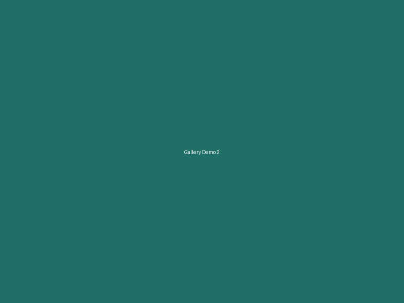 Demo gallery image 2